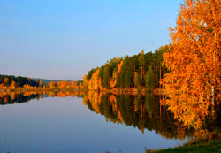 Золотая осень